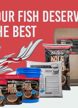Blue Ridge Koi Fish Food 5lb - Koi Food Mini Growth Formula, Goldfish Food, Premium Fish Food for Ponds, Ponds Fish Food, Floating Pond Pellets
