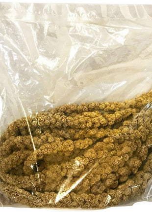 Nemeth Farms Spray Millet - Edible Tops Only, Non-GMO and Sun-Dried - 1 lb for Parakeets, Canaries and Finches