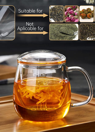 DOPUDO Glass Tea Cup with Infuser and Lid, 17.6oz/520ml Large Borosilicate Teacup,Tea Glass, Clear Mug for Loose Leaf Tea, Blooming Tea, Microwave & Dishwasher Safe   Tea Maker Gift for Birthday