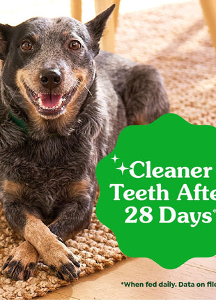 Greenies Veterinarian-Recommended Adult Natural Dental Dog Treats Petite Size, Dog Dental Chews, Original Flavor, 36 oz. Pack, 60 Count