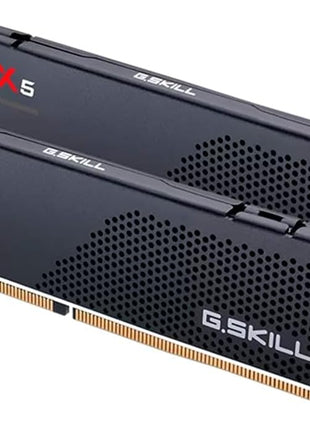 MEM 2 * 16G|GSK F5-6000J3636F16GX2-FX5