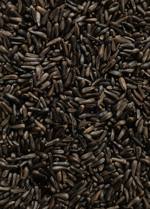 Happy Wings Nyjer/Thistle Seeds Wild Bird Food - 10 Pounds I No Grow Seed I Bird Seed for Wild Birds