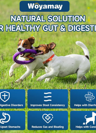Dual-Action Dog Probiotics & Hip/Joint Supplement - 200 Soft Chews with Glucosamine, Chondroitin, MSM, Probiotics for Digestion, Immune & Joint Health, Gas Relief, Chicken Flavor (All Ages/Breeds)