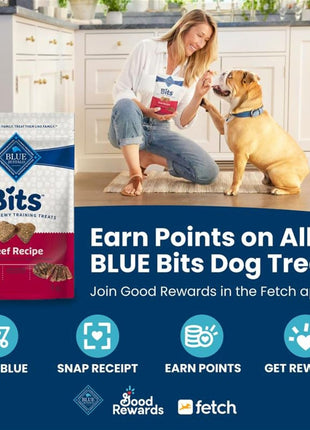 Blue Buffalo Bits Soft Dog Treats for Training, Made With Natural Ingredients & Enhanced with DHA, Chicken Recipe, 19-oz Bag