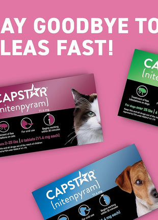 Capstar (nitenpyram) Cat Flea Treatment, Fast-Acting Oral Flea Treatment for Cats 2-25 lbs, Vet-Recommended Medication Tablets Start Killing in 30 Minutes, 6 Doses