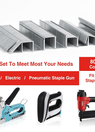 SHALL Heavy Duty T50 Staples and 18GA Brad Nails Combo Kit, 8000-Count, Four Sizes of T50 Staples for Staple Gun Including 1/4, 5/16, 3/8, 1/2 Inch and Two Sizes of Brad Nails Including 1/2, 9/16 Inch