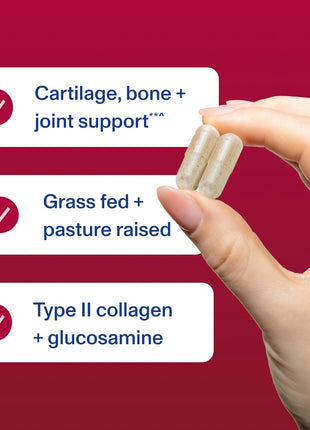 Vital Proteins Cartilage Collagen, Type II, 120 Capsules | Grass-fed Type II Collagen & Chondroitin Sulfate, Supports Joint Health, Hair Skin & Nails, 30 Servings