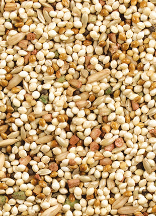 Wild Harvest Daily Blend Nutrition Diet For Parakeet, Canary And Finch 10 Pounds
