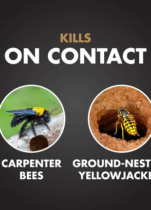 Spectracide Carpenter Bee And Ground-Nesting Yellowjacket Killer Foaming Aerosol 16 Ounces, Expands To Where Insects Live