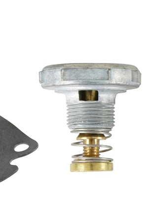 Holley 703-29 Marine Renew Kit