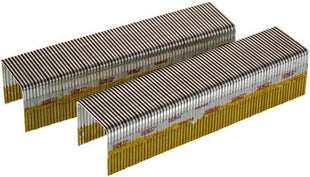 SENCO Collated Heavy Wire Staples, Galvanized, 16 GA (P13BAB) 10,000 bx