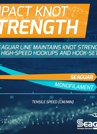 Seaguar Blue Label Fishing Leader Line for Saltwater, 100% Fluorocarbon, Clear, Multiple Sizes