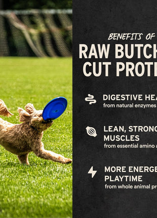 Vital Essentials Beef Liver Dog Treats, 2.1 oz | Freeze-Dried Raw | Single Ingredient | Premium Quality High Protein Training Treats | Grain Free, Gluten Free, Filler Free
