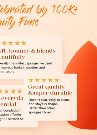 BEAKEY Makeup Sponge Set 5 Pack Micro Porous Low Absorption Soft Latex Free Foundation Beauty Sponges & Blenders for Powder Cream