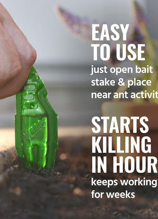TERRO Liquid Ant Baits - T1813B - Outdoor Ready-to-Use Terro Ant Traps, Kills Household Ants, 12 Stakes