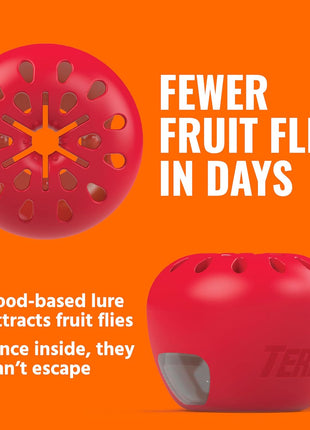 TERRO Fruit Fly Traps for Indoors (4 Pack) + 180 Days of Lure Supply