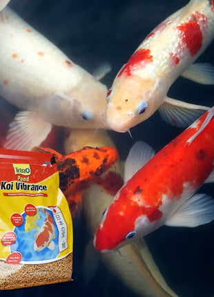 TetraPond Koi Vibrance Soft Sticks, Floating Pond Fish Food for Koi Fish and Ornamental Goldfish, 2.42 Pounds