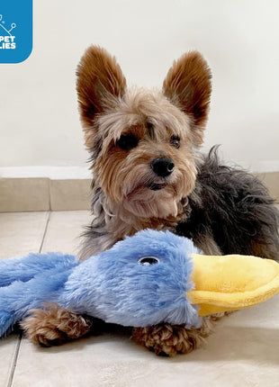 Best Pet Supplies Interactive Squeaky Dog Chew Toy, Ideal Dog Toys for Chewers, Small, Medium & Large Dogs, and Fetch Lovers - Crinkle Duck (Yellow), Large