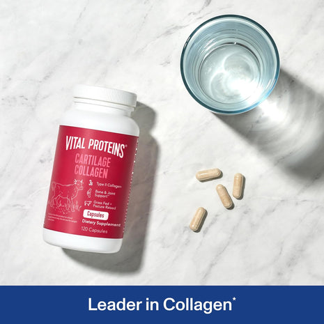 Vital Proteins Cartilage Collagen, Type II, 120 Capsules | Grass-fed Type II Collagen & Chondroitin Sulfate, Supports Joint Health, Hair Skin & Nails, 30 Servings