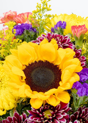 Benchmark Bouquets - Flowering Fields Sunflower Bouquet - Fresh Flowers for Delivery - Real Flowers in a Vase - Birthday Flowers for Women - Congratulations Gift (Glass Vase Included)