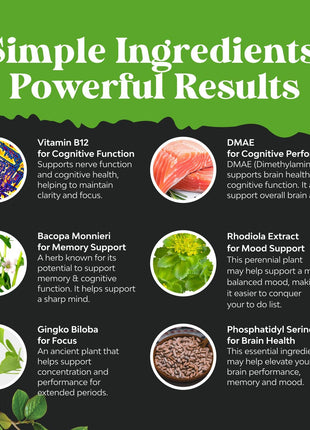 Bundle of Nootropic Memory Supplement for Brain Support - Memory Pills for Brain Boost and Natural Energy Booster, Sam-E 200mg Mood Support Supplement for Brain Support and Liver Detox Cleanse