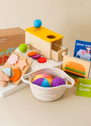 Montessori Toys for Babies 6-12 Months 6 in 1 Learning Educational Toys Set Wooden Toys Play Kit Includes Object Permanence Box, Touch & Match Board, Sensory Ball & Treasure Basket, Soft Baby Book