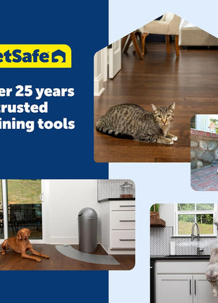 PetSafe Teach & Treat Remote Reward Trainer, Up to 30 Yards | Remotely Reinforces Good Behavior Instantly, Dispense Treats From 30 Ft, Trainer-Led Tutorial Videos, Lightweight & Portable