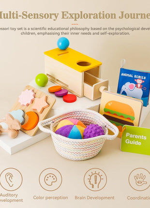 Montessori Toys for Babies 6-12 Months 6 in 1 Learning Educational Toys Set Wooden Toys Play Kit Includes Object Permanence Box, Touch & Match Board, Sensory Ball & Treasure Basket, Soft Baby Book