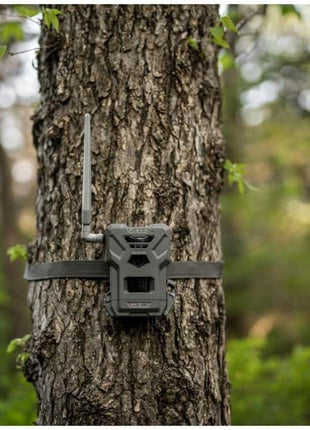 SPYPOINT Flex-M Twin Pack Cellular Trail Cameras - Best Hunting Accessories, No WiFi Needed, GPS, Night Vision, Dual-Sim LTE, IP65 Water-Resistant Game Camera, 28MP Photos, 720p Videos + Sound (2)