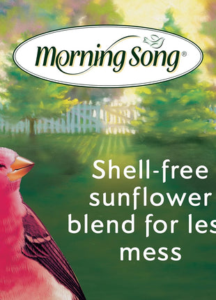 Morning Song Clean & Free Shell Free Wild Bird Food, Premium No Mess Bird Seed for Outside Feeders, 10-Pound Bag