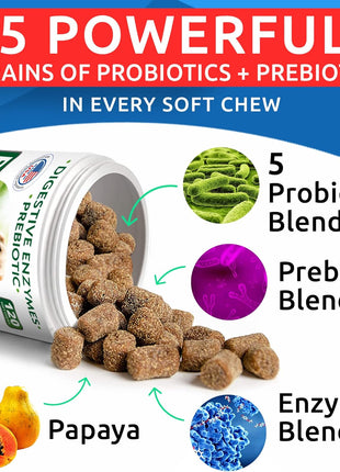 Allergy Relief + Probiotics & Digestive Enzymes for Dogs - Anti-Itch Skin & Coat Supplement - Omega 3 Fish Oil - Gut Health - Pet Diarrhea Gas Treatment, Upset Stomach Relief Pills, Digestion Health