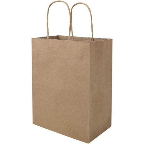 bagmad 100 Pack 8x4.75x10 Inch Plain Medium Paper Bags with Handles Bulk, Brown Kraft Craft Gift Bags, Grocery Shopping Retail Birthday Party Favors Wedding Sacks (Natural Brown, 100pcs)