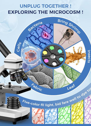 PalliPartners Compound Microscope for Adults & Students, White | 100X-2000X High-Power, Biological Microscope, School Lab & Home Education, with Slides Set & Phone Adapter