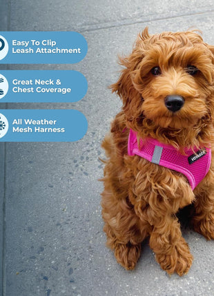 Best Pet Supplies Voyager Step-in Air Harness - All Weather Mesh, Reflective, No Pull Harness for Dogs, Cats - Secure with Hook & Loop Fastener, Buckle, Double D-Rings - Fuchsia, S