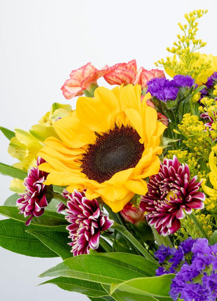 Benchmark Bouquets - Flowering Fields Sunflower Bouquet - Fresh Flowers for Delivery - Real Flowers in a Vase - Birthday Flowers for Women - Congratulations Gift (Glass Vase Included)