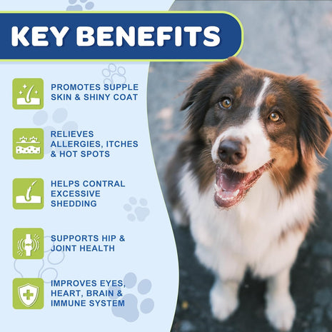 Omega 3 Fish Oil for Dogs, Glucosamine for Dogs 180 Counts