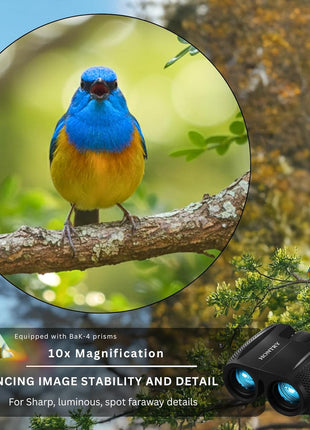 10x25 Compact Binoculars for Adults and Kids | Bird Watching, Travel, Cruise Ship, Sport Games, Theater, Concerts, Road Trip