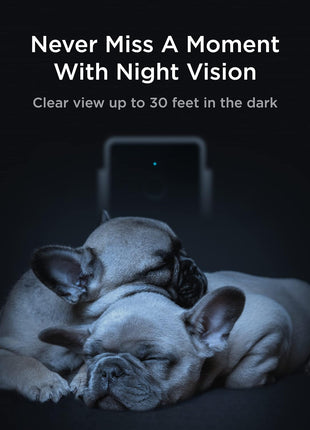 Petcube All Devices Pack: Cam, Cam 360, Bites 2 Lite, Play 2, GPS Tracker (All in one App)