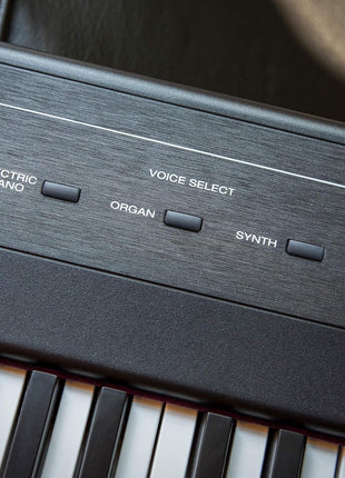 Alesis Recital ? 88 Key Digital Piano Keyboard with Semi Weighted Keys, 2x20W Speakers, 5 Voices, Split, Layer and Lesson Mode, Fx and Piano Lessons