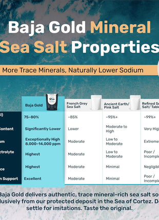 Baja Gold Signature Mineral Sea Salt - Recommended by Gary Brecka - Authentic Fine Grind Salt for Cooking & Baking | Natural Baja Salt for Culinary Uses | Great for Finishing Dishes | 1 lb. Resealable Bag, 300+ Servings