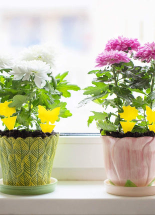 Fruit Fly Traps Fungus Gnat Traps Yellow Sticky Bug Traps 36 Pack No Harm and Odorless for Indoor Outdoor Use Protect The Plant