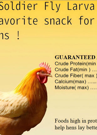 11 lb Black Soldier Fly Larva - BSFL is a high Calc-Rich Chicken Feed with More Calcium Than mealworms.It is a Pure Natural Food That Provides high Protein for Chickens and Birds