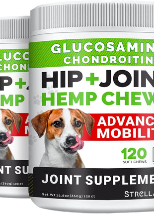 4oz Probiotics Powder + 240ct Hemp Glucosamine Joint Supplement Bundle - Relieves Diarrhea + Joint Pain Relief - Digestive Enzymes + Prebiotics + Omega 3, Hemp Oil + Chondroitin, MSM - Made in USA