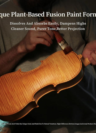 PHOENIX Violin 4/4 Full Size Set, Fiddle Set for professional Beginners Adults with Rosewood Bow Extra strings & Bridge, 2 Rosins, Tuner, Mute, Case (Plywood, 4/4)