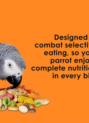 Kaytee Fiesta Parrot Food, Nutritious and Fun Blend, Supports Skin, Feather, Digestion, Brain and Heart Health, 4.5 pounds