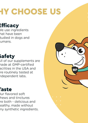 Omega Max Fish Oil Plus Daily Multivitamin Chews - for Dog Joint Health, Skin Moisture, Immune System Support & Daily Wellness - Omega Max 16 Ounces - Multivitamin 60 Chews