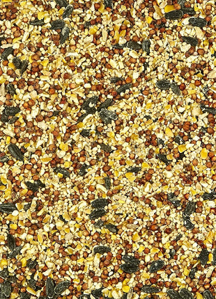 Kaytee All American Wild Bird Food Seed Blend for Cardinals, Blue Jays, Finches & Other Outdoor Wild Birds, 5 Pounds