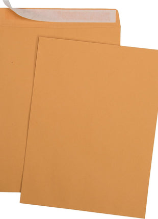 Aimoh 9 X 12 Self-Seal Brown Kraft Catalog Mailing Envelopes - 28lb - 100 Count, 9x12 Inch (38300)