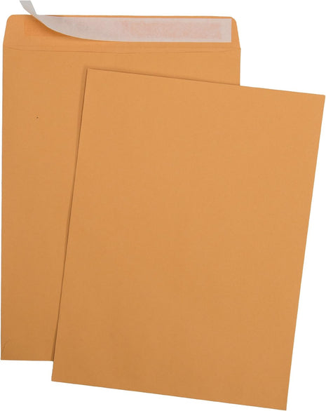 Aimoh 9 X 12 Self-Seal Brown Kraft Catalog Mailing Envelopes - 28lb - 100 Count, 9x12 Inch (38300)