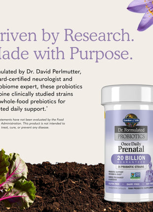 Garden of Life Dr. Formulated Probiotics Once Daily Prenatal - Acidophilus and Bifidobacteria Probiotic Support for Mom and Baby – Shelf Stable - Gluten, Dairy, and Soy-Free - 30 Vegetarian Capsules